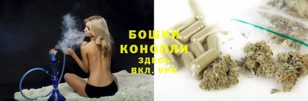 крисы Балахна