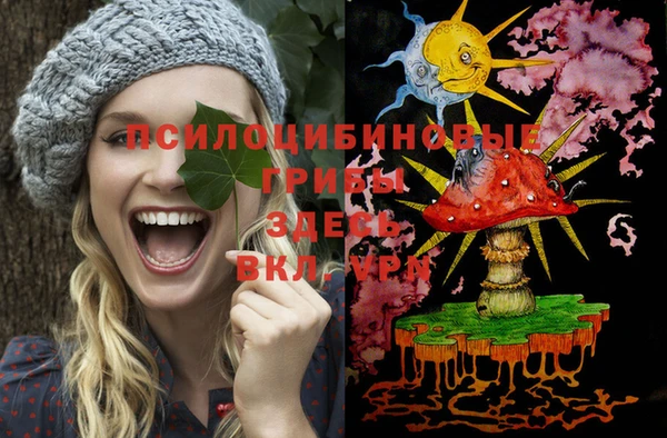 твердый Армянск
