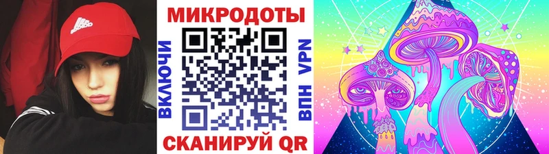 Псилоцибиновые грибы мухоморы  hydra маркетплейс  Оленегорск  продажа наркотиков 