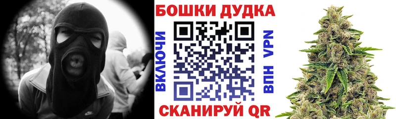 Шишки марихуана Bruce Banner где продают наркотики Оленегорск